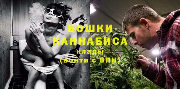 индика Зеленодольск