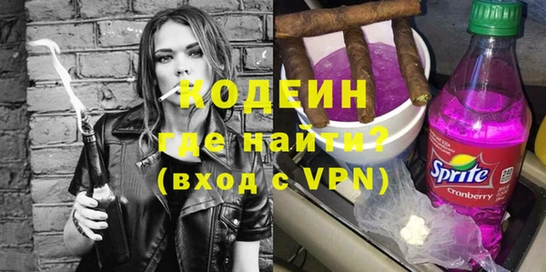 индика Зеленодольск