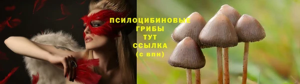 тгк Зерноград