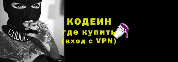 индика Зеленодольск