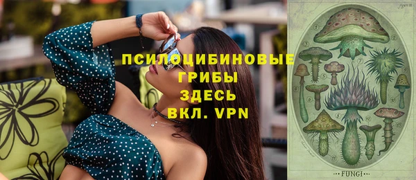марки lsd Инсар