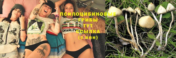 марки lsd Инсар