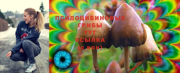 марки lsd Инсар